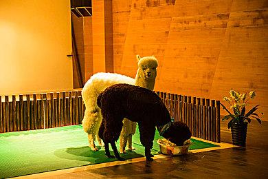 《潜行者2》1.0.2更新现已在PC端上线 多个卡任务被修复